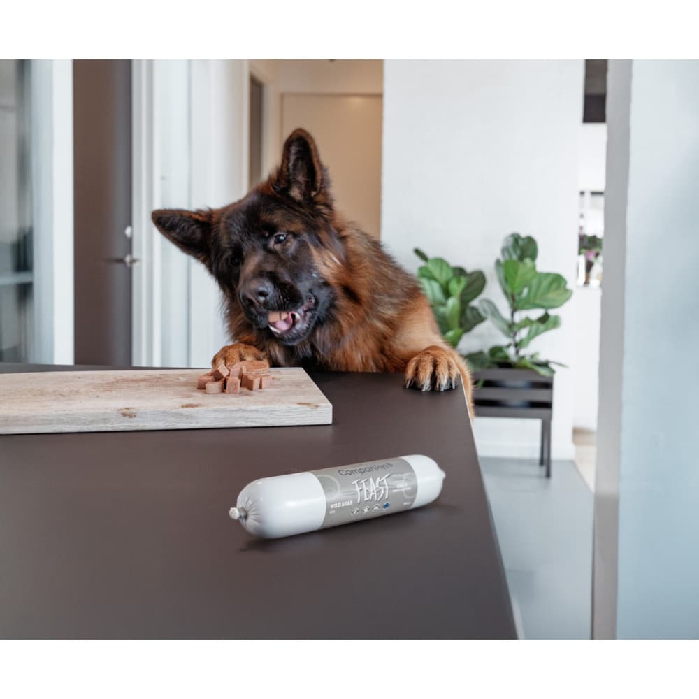 Feast Foderkorv till hund 350 g Oxe, view: 2