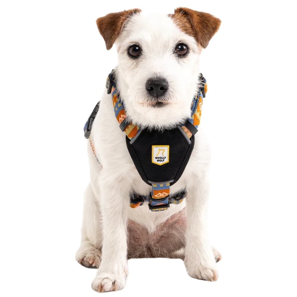 Nightless Harness M-L Multi, view: 1