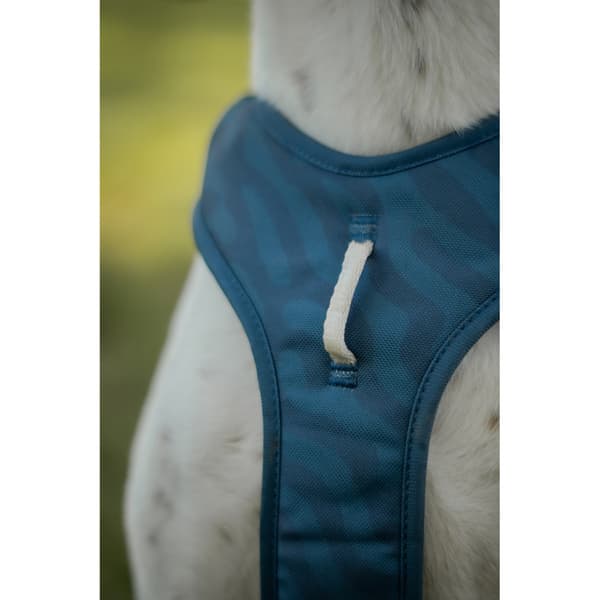 Roam Harness L Deep Teal Ripple, view: 4