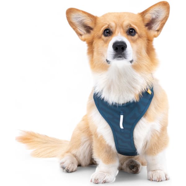 Roam Harness L Deep Teal Ripple, view: 2