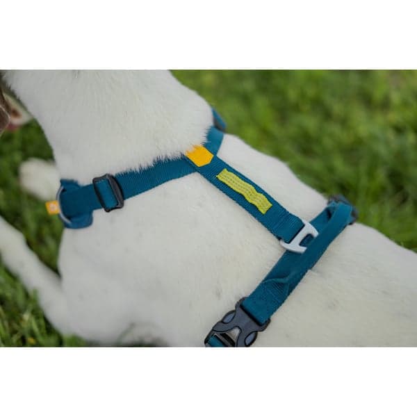 Roam Harness XL Deep Teal Ripple, view: 5