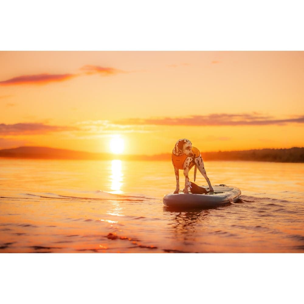 Swim Vest Sunset, view: 5