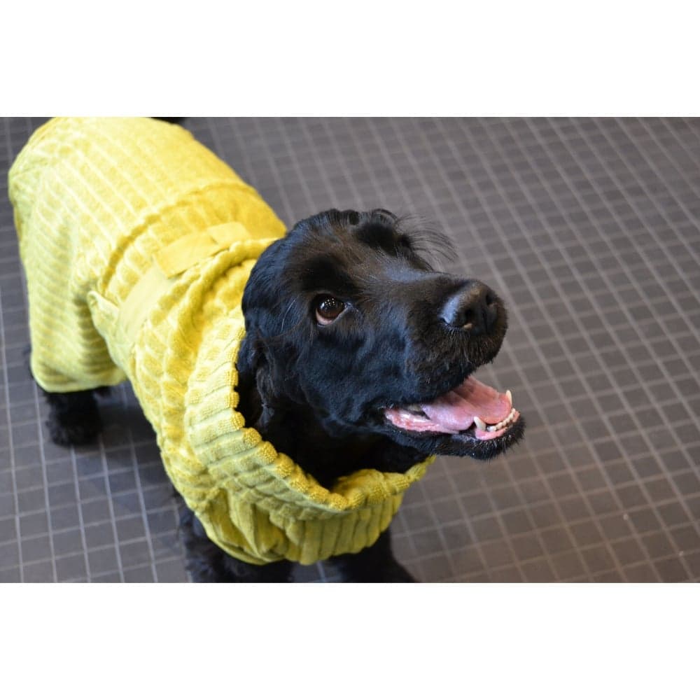 Aalto Pet Bathrobe XXS-XS Apple, view: 5