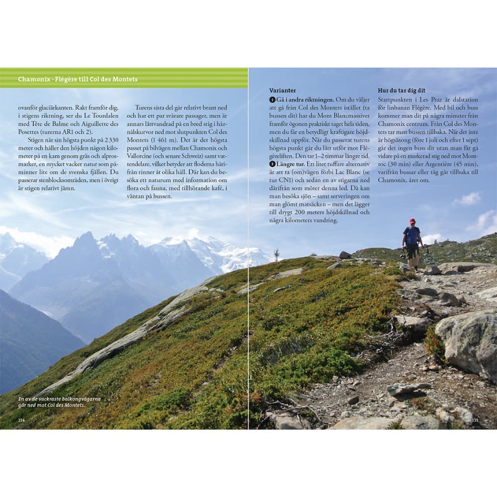 Vandra I Alperna: Chamonix, view: 5