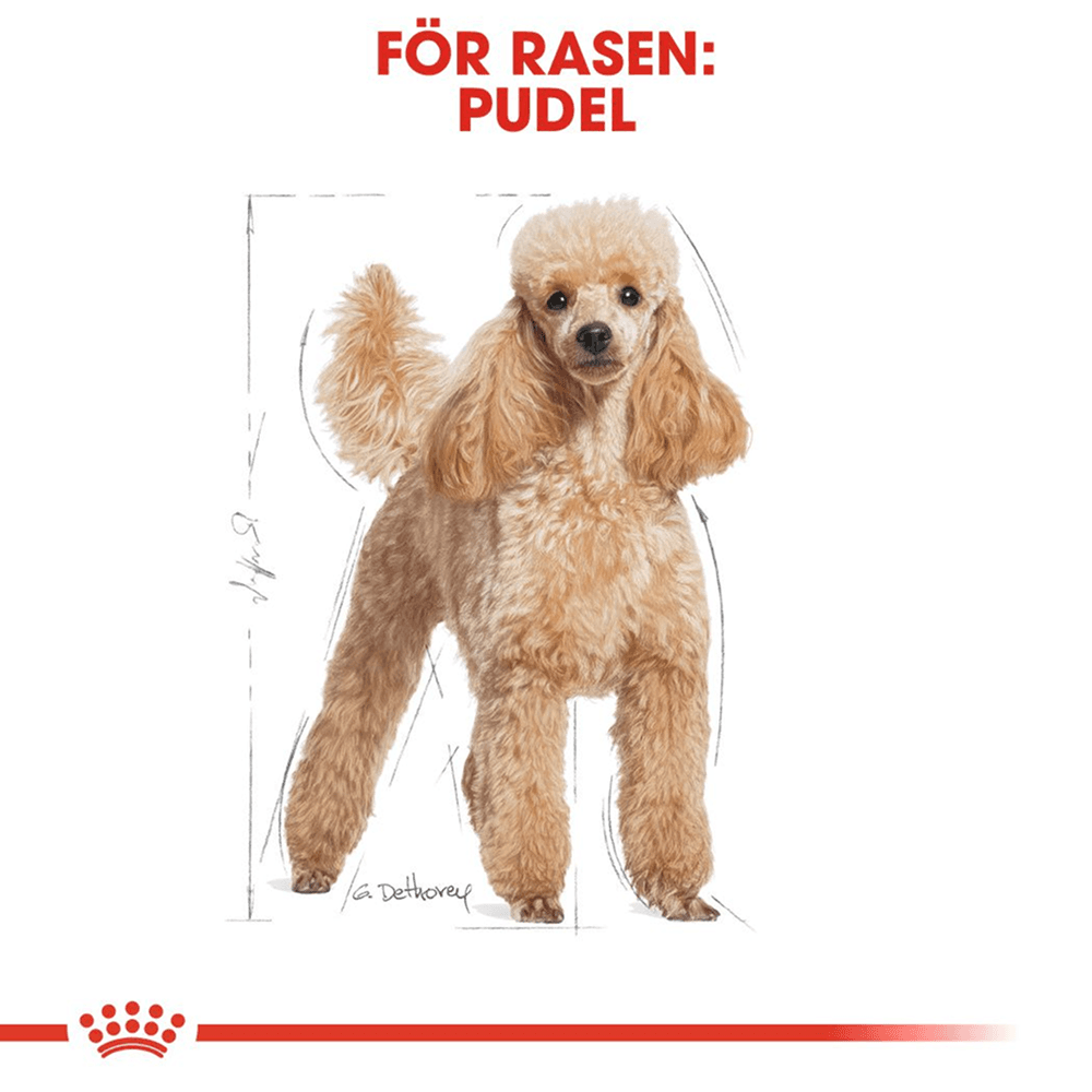 Poodle Adult 7,5 Kg, view: 2