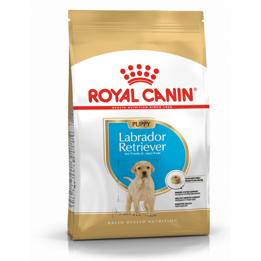 Labrador Retriever Puppy 12 Kg, view: 1