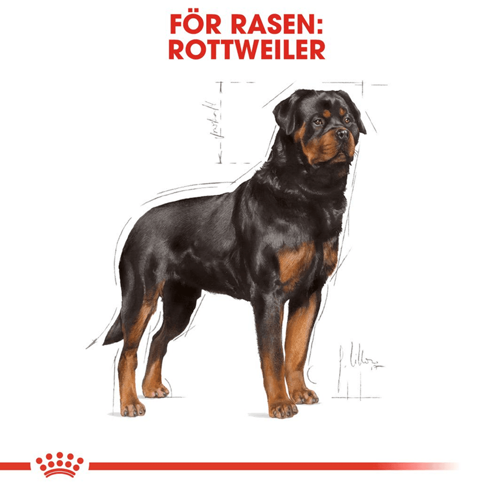 Rottweiler Adult 12 Kg, view: 2