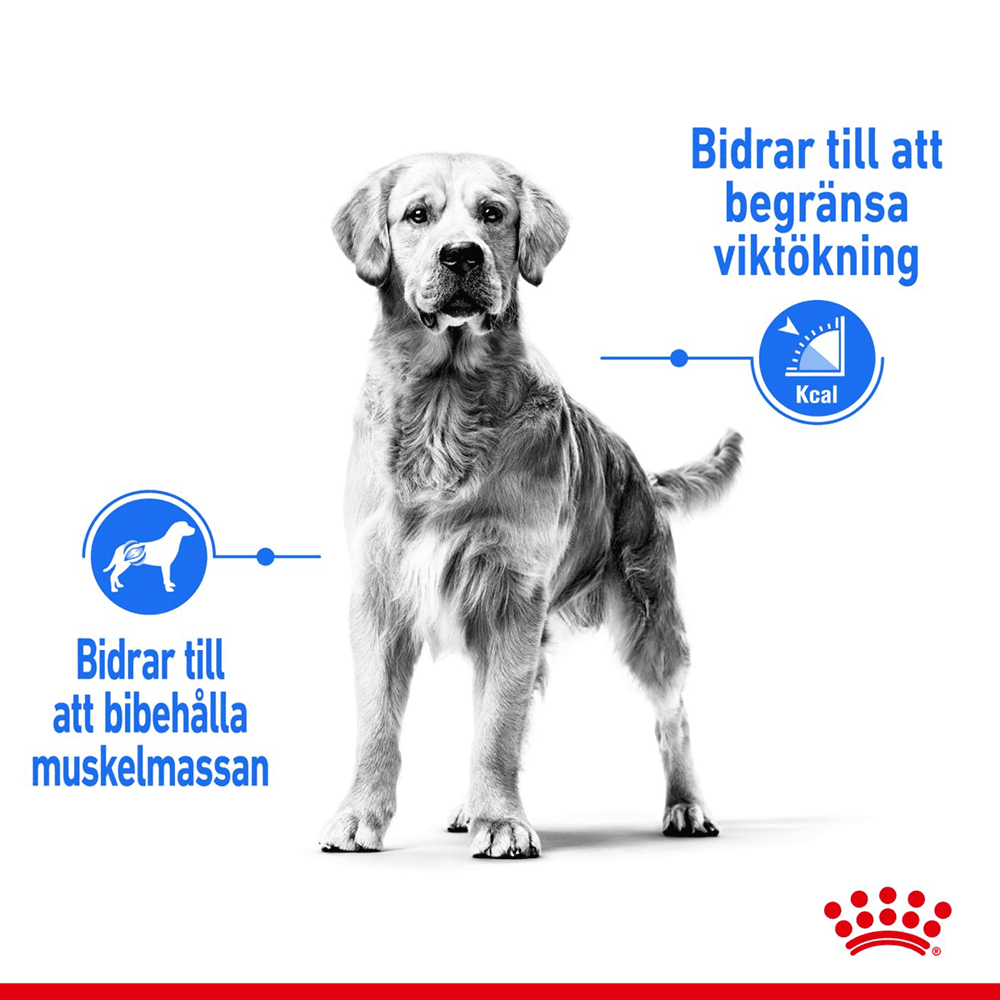 Light Weight Care Medium 12 Kg, view: 2