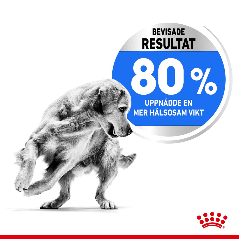 Light Weight Care Medium 12 Kg, view: 4