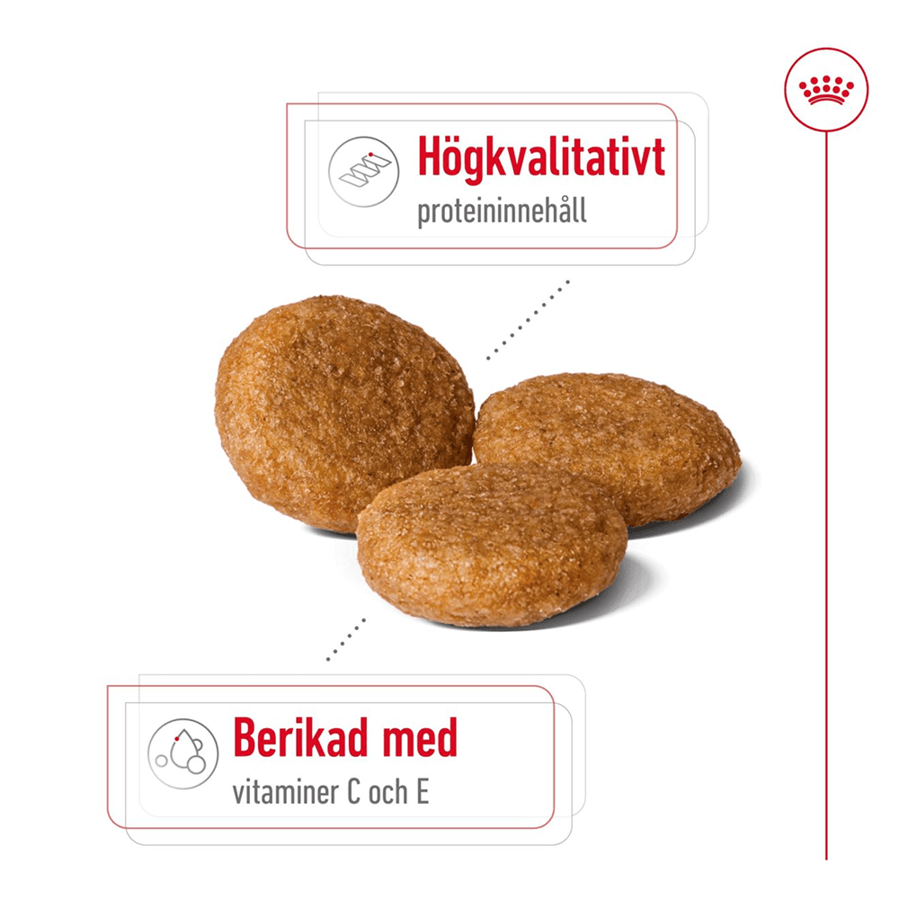 Medium Adult 15 Kg, view: 2