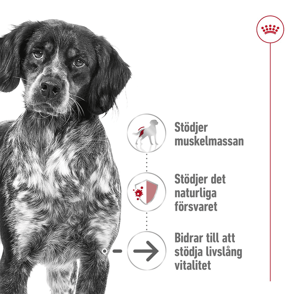 Medium Ageing 10+ 15 Kg, view: 1