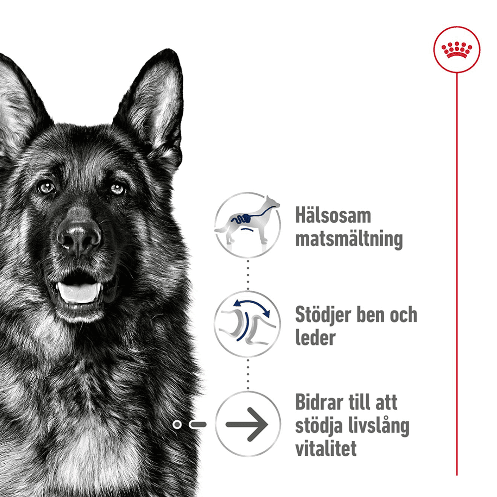 Maxi Ageing 8+ 15 Kg, view: 1