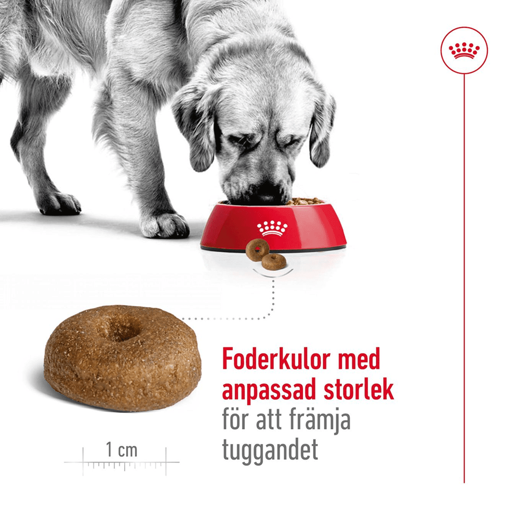 Maxi Ageing 8+ 15 Kg, view: 3