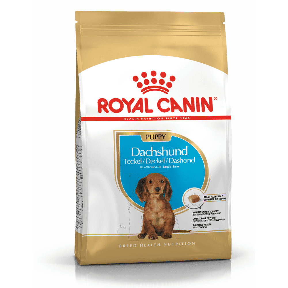 Dachshund Puppy 1,5 Kg, view: 1