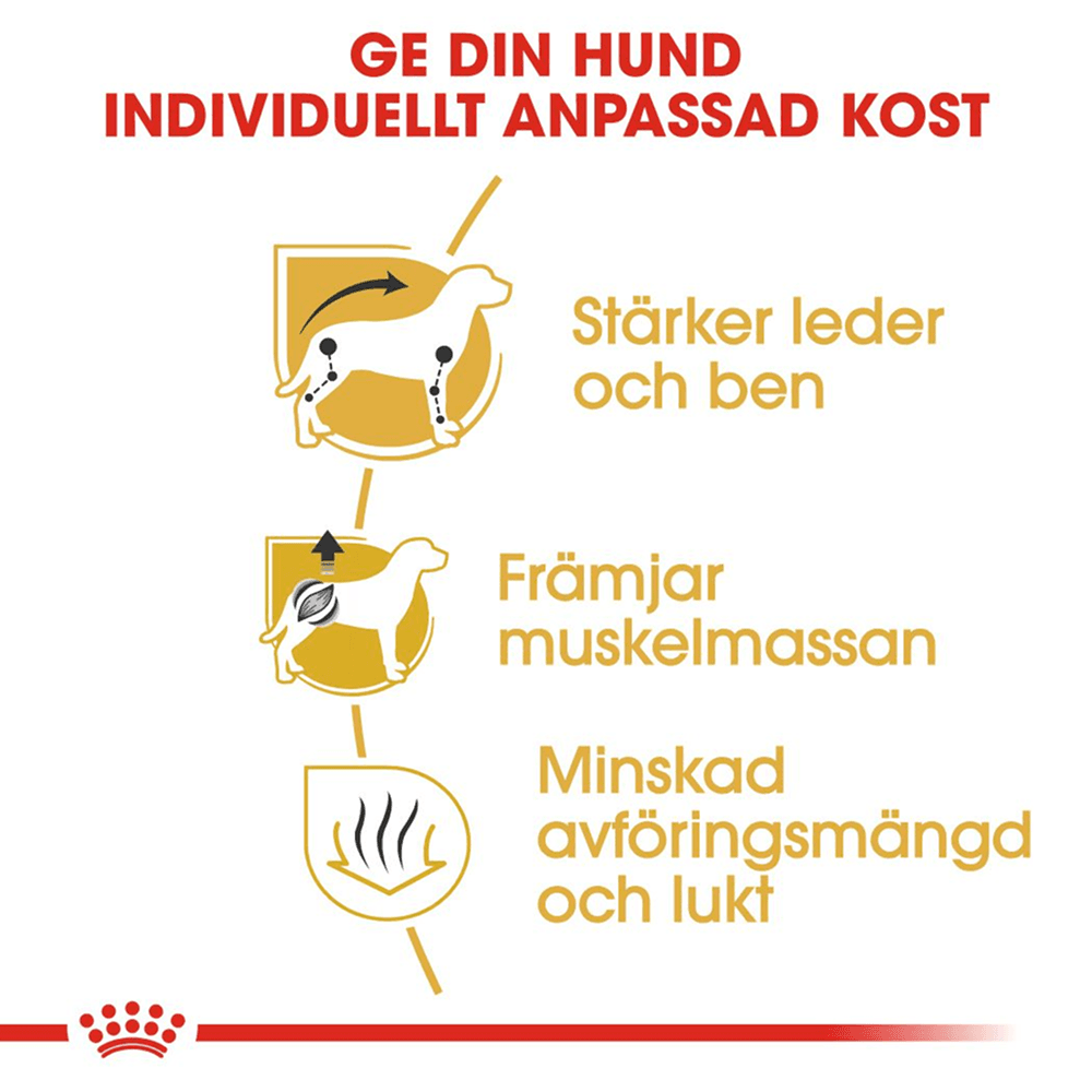 Dachshund Adult 1,5 Kg, view: 4