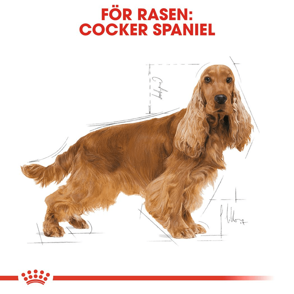 Cocker Adult 12 Kg, view: 2