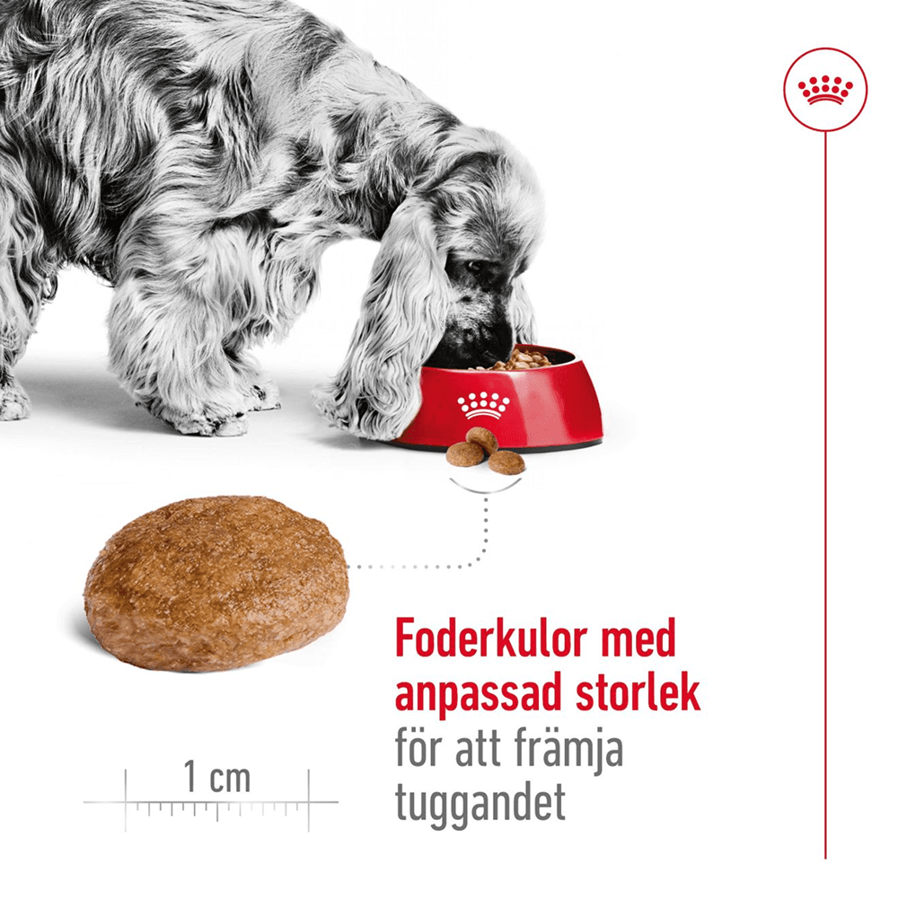 Medium Adult 7+ 15 Kg, view: 3
