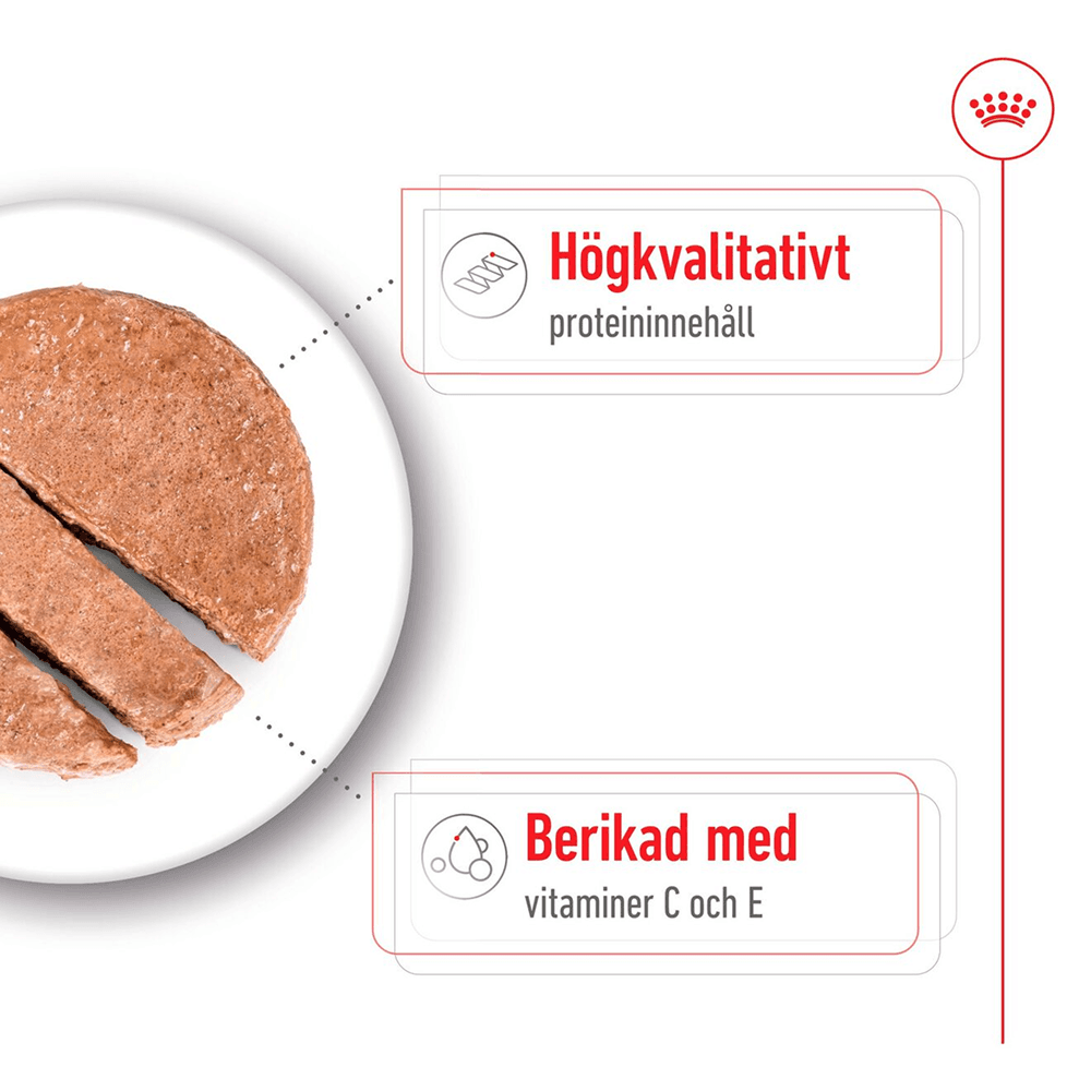 Medium Adult Loaf Can 410 G, view: 2