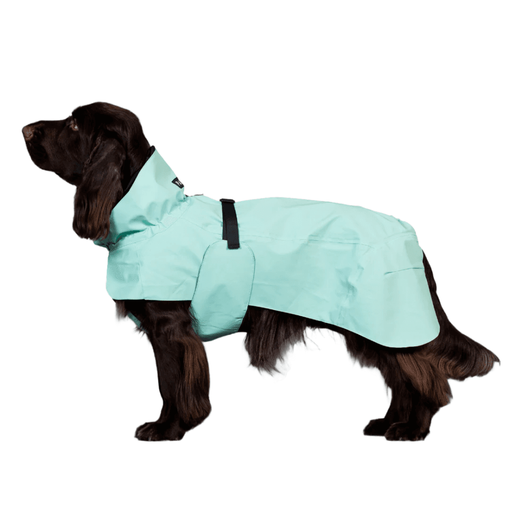 Visibility Raincoat Lite 35-50 Cabbage, view: 1