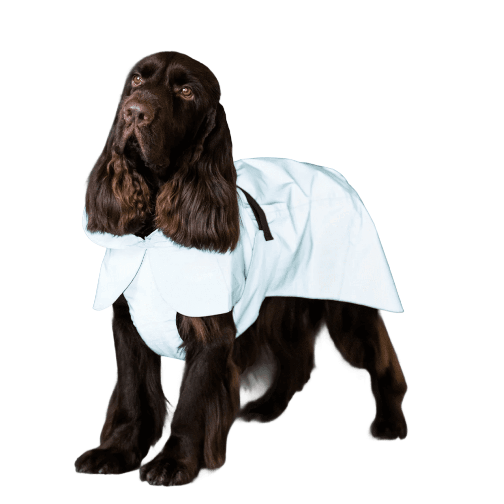 Visibility Raincoat Lite 35-50 Cabbage, view: 2