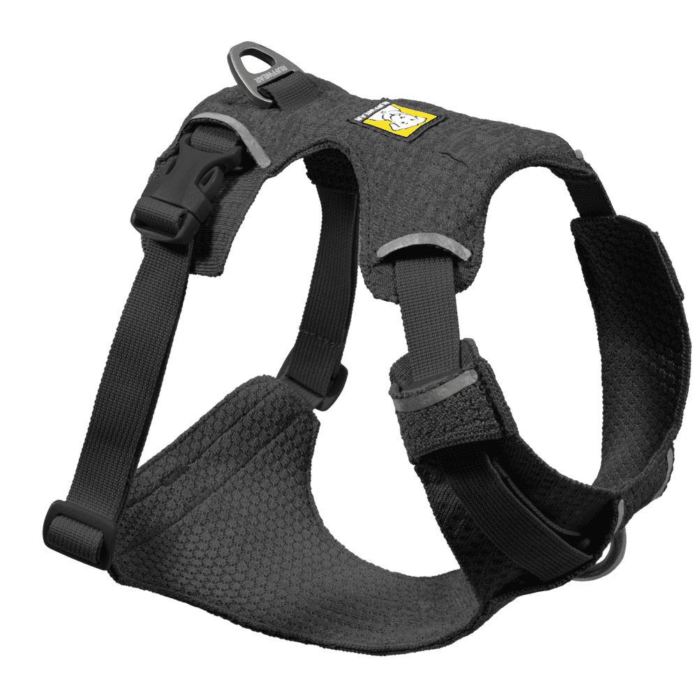 Front Range® Flex Harness L Basalt Gray, view: 0