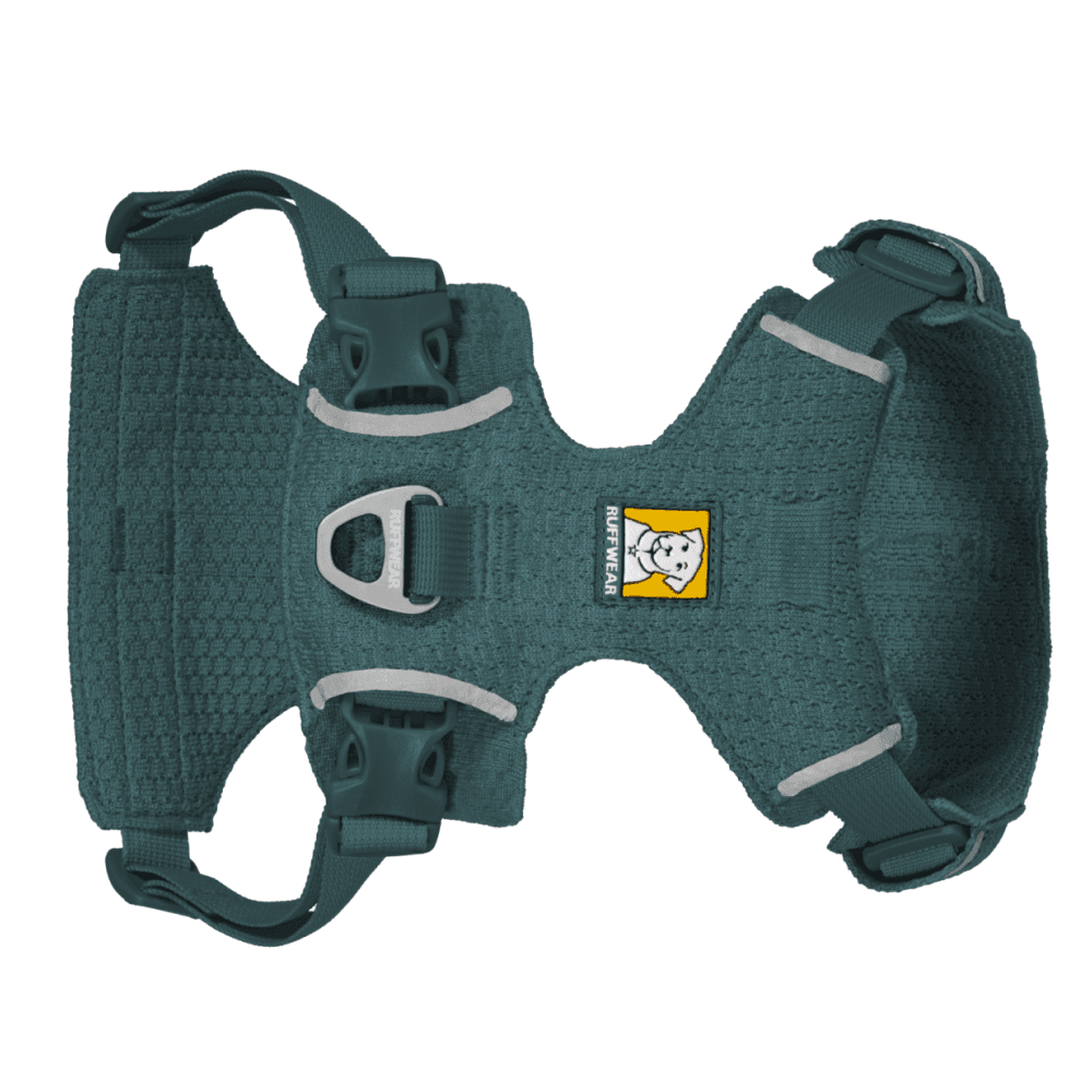 Front Range® Flex Harness L Deep Teal, view: 1