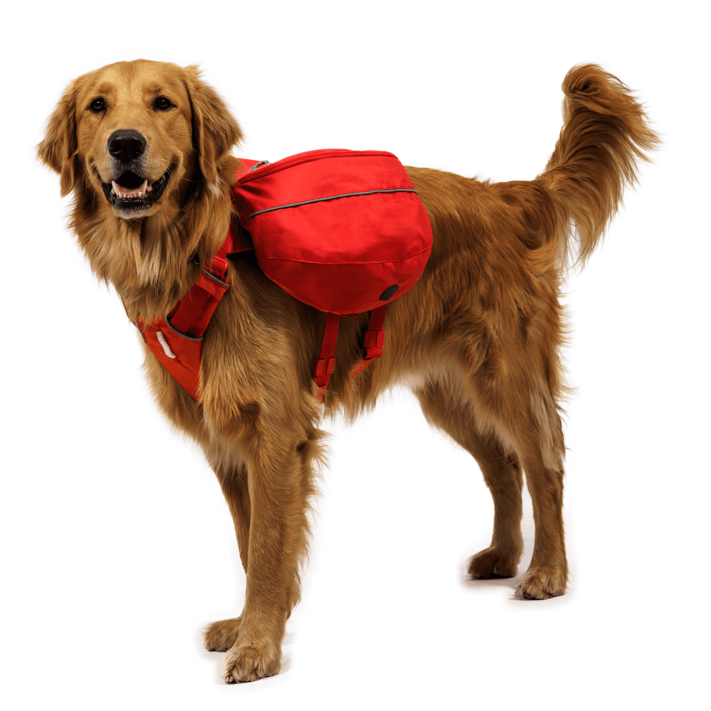 Palisades™ Pack Red Currant, view: 5