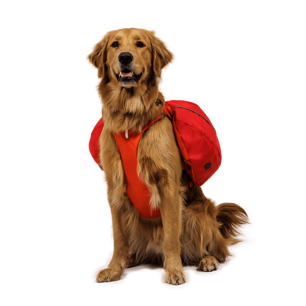 Palisades™ Pack Glacier Lake, view: 4
