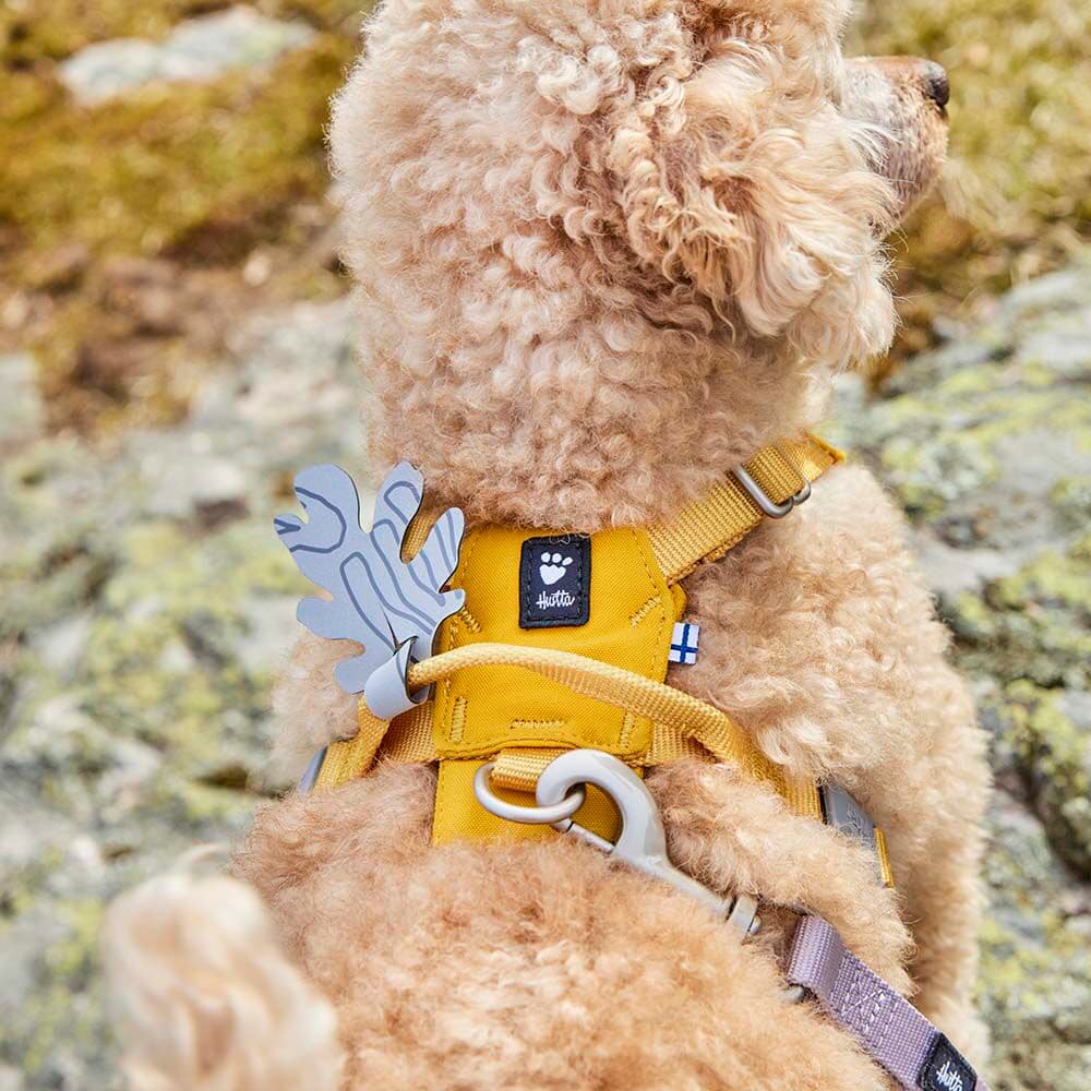 Seeker Harness 45-60, 55-70 Honey, view: 4