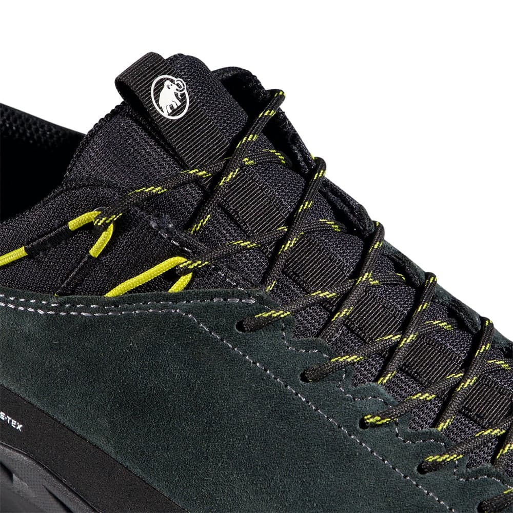 Alnasca Iv Low Lth Gtx Men Gabbro-Acacia, view: 6