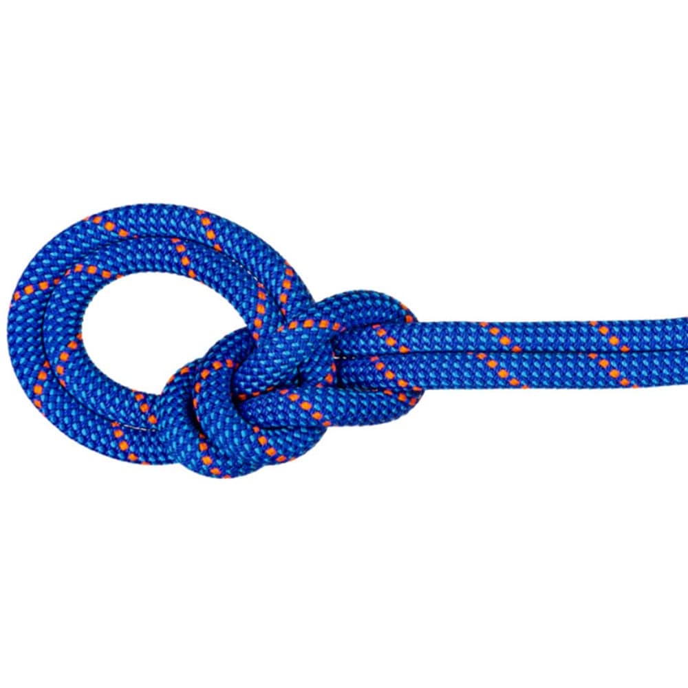 9.5 Crag Dry Rope 60M Blue-Ocean, view: 0