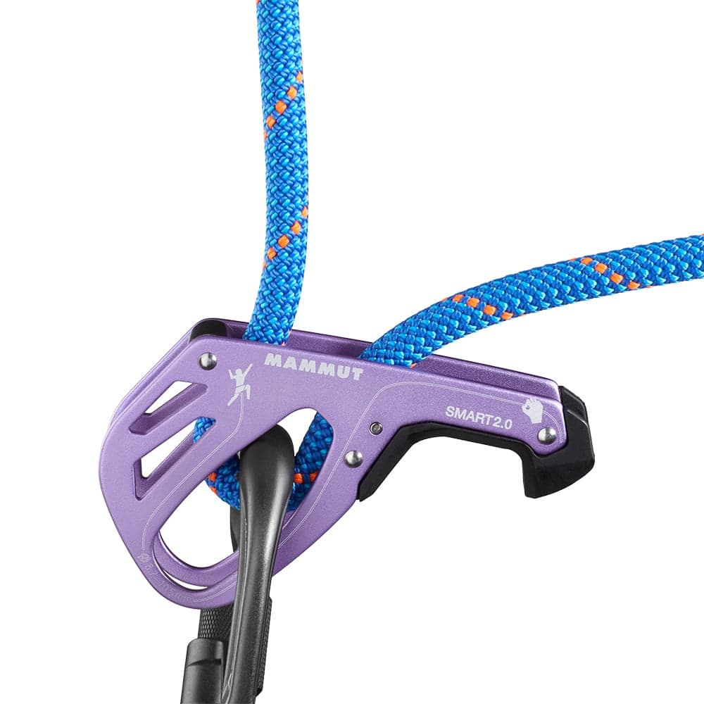 Smart 2.0 Belay Package Alpine Calamint, view: 5