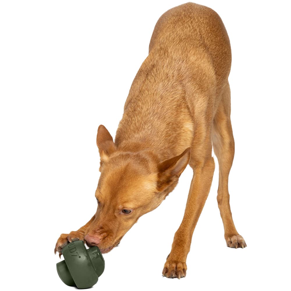 Treat Dispensing Toy Zeno Dark Olive, view: 2