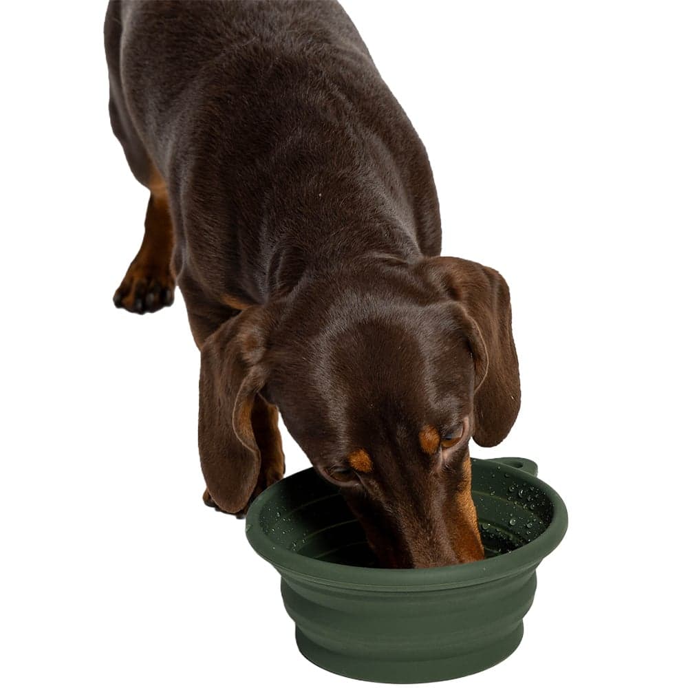 Travel Bowl Aktiv Dark Olive, view: 2
