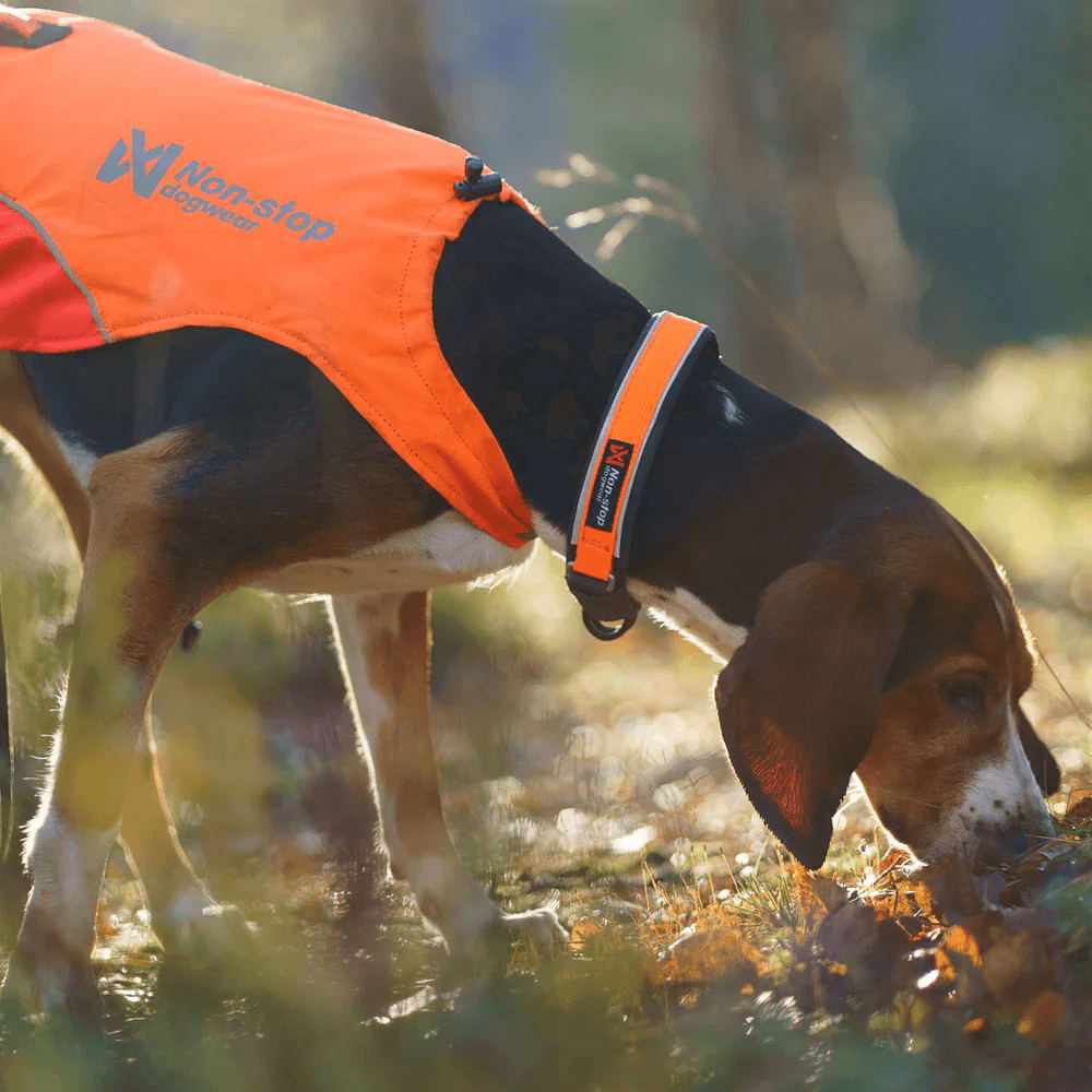 Protector Collar Orange, view: 1