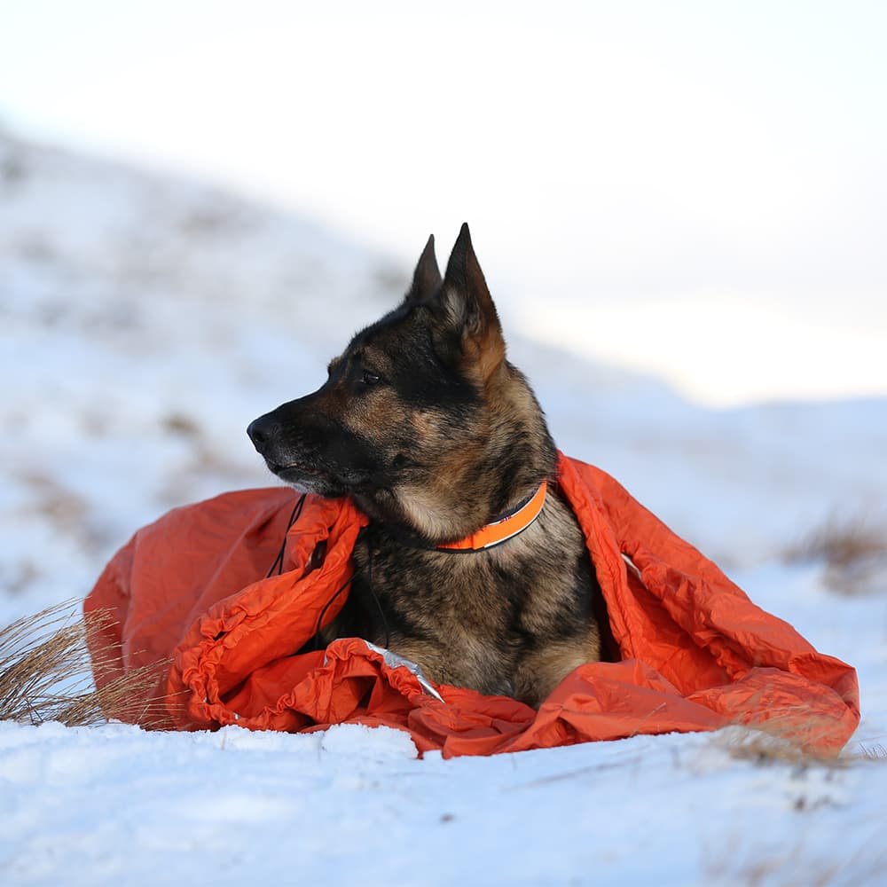 Protector Bivvy Bag S Orange, view: 3
