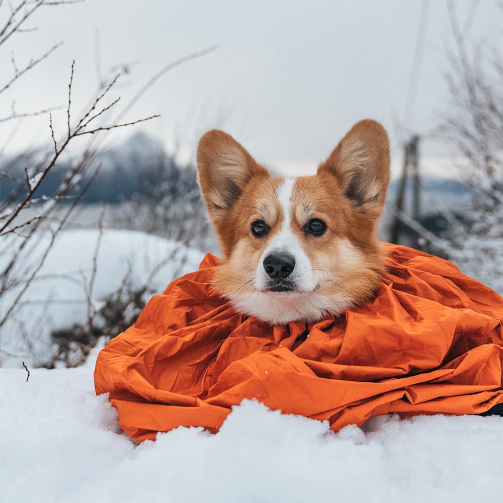 Protector Bivvy Bag S Orange, view: 2