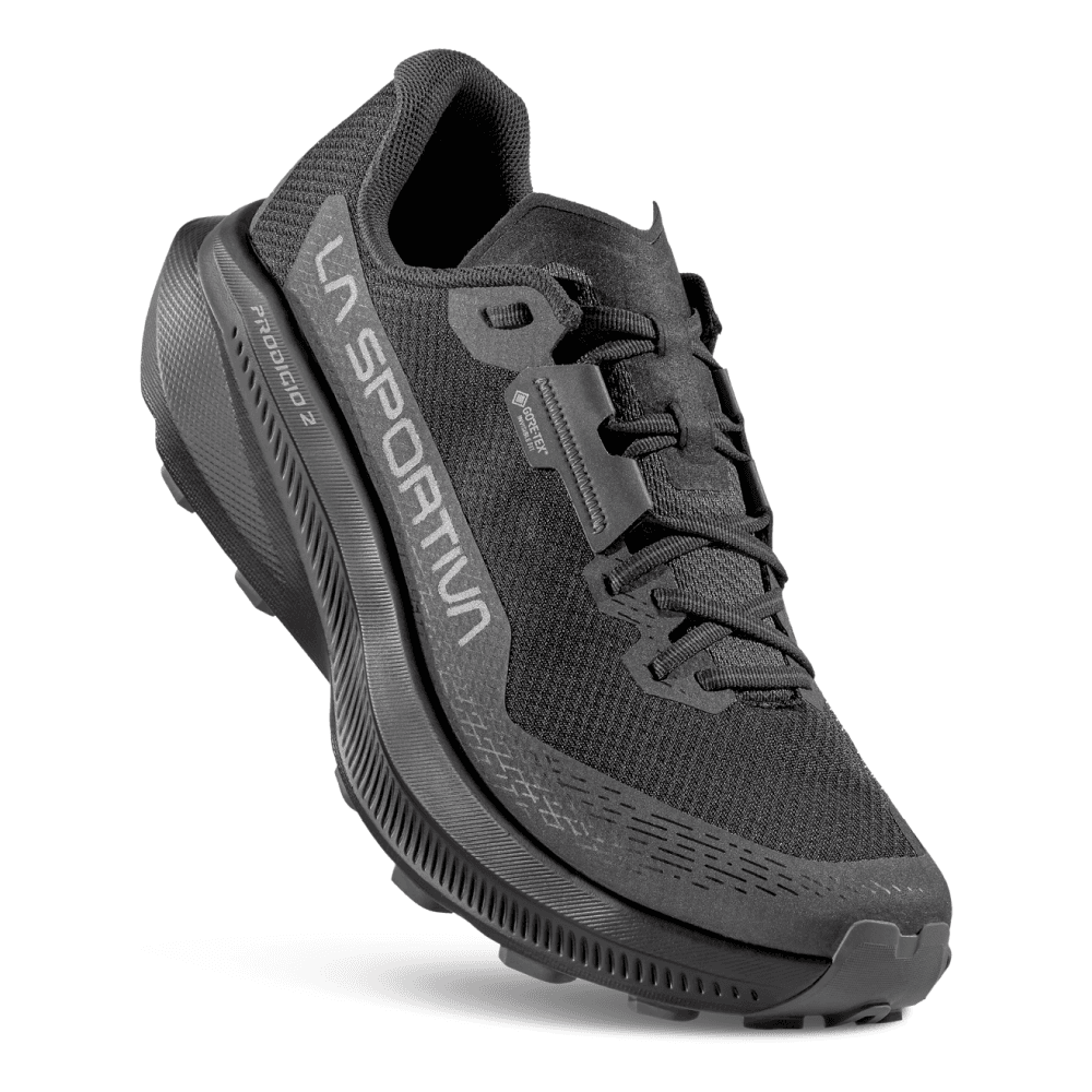 Prodigio 2 GTX Black/Reflective, view: 2