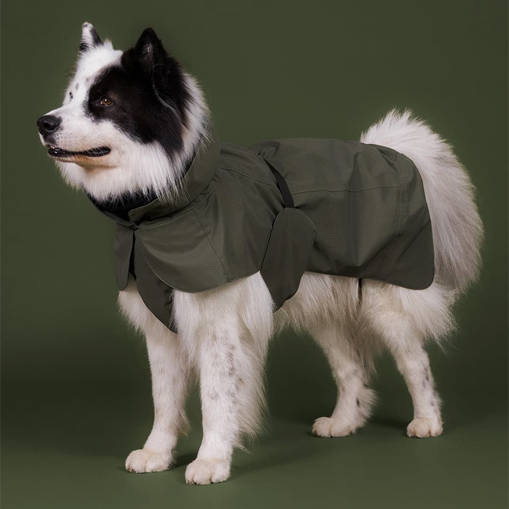 Visibility Raincoat 55-70 cm Thyme, view: 7