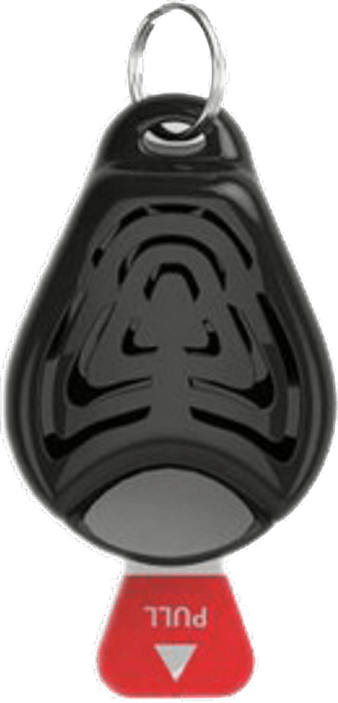 productImage: PET Ultrasonic Tick Repeller