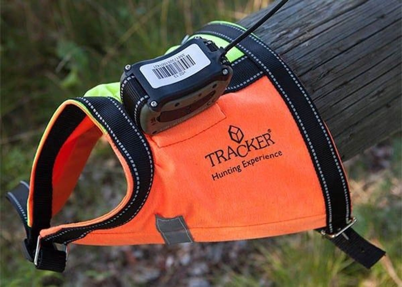 productImage: /Pointer dog harness