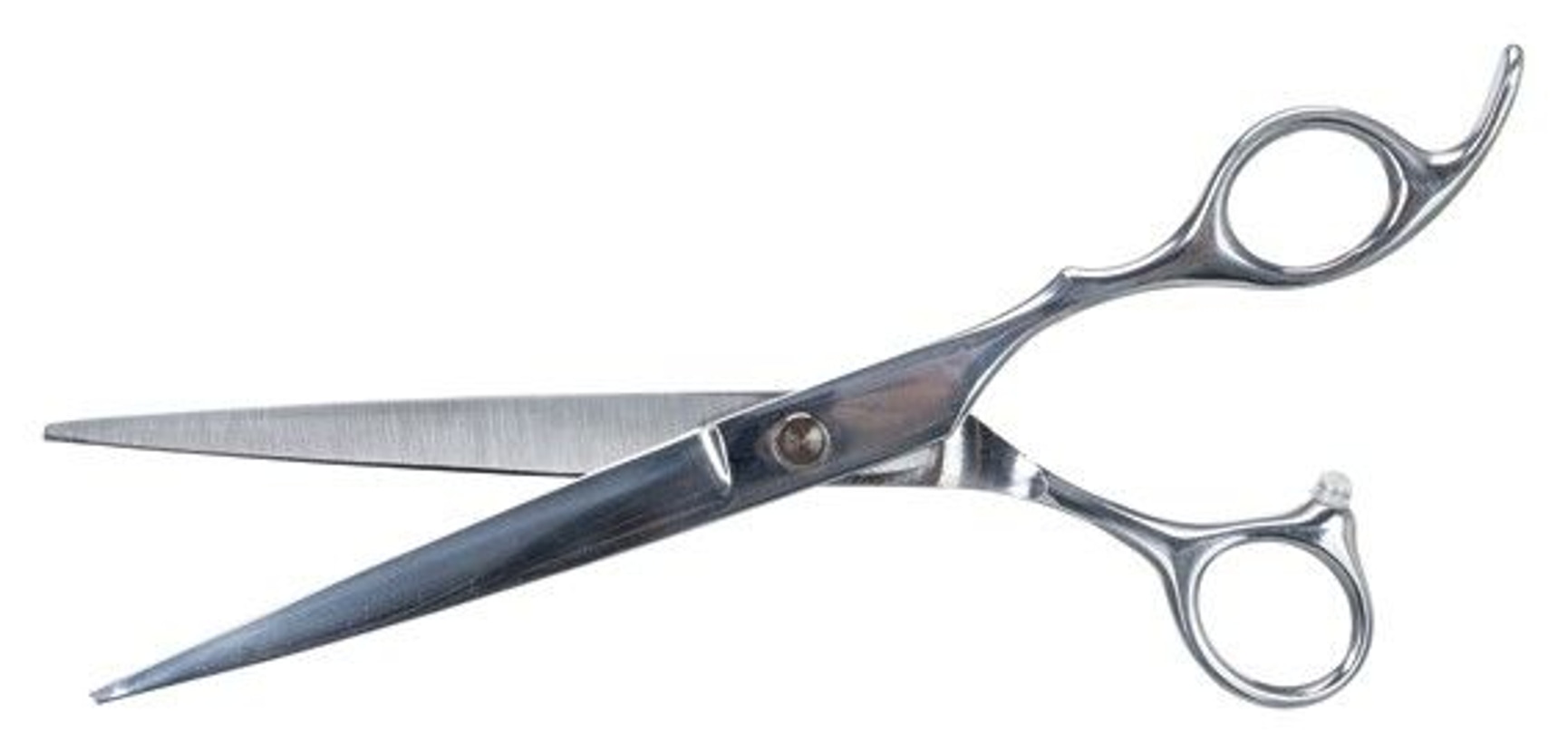 productImage: Professional Trimsax 20 cm