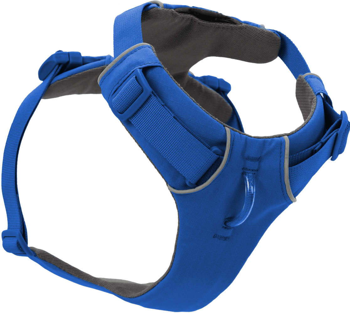 productImage: Front Range Harness Blue Pool
