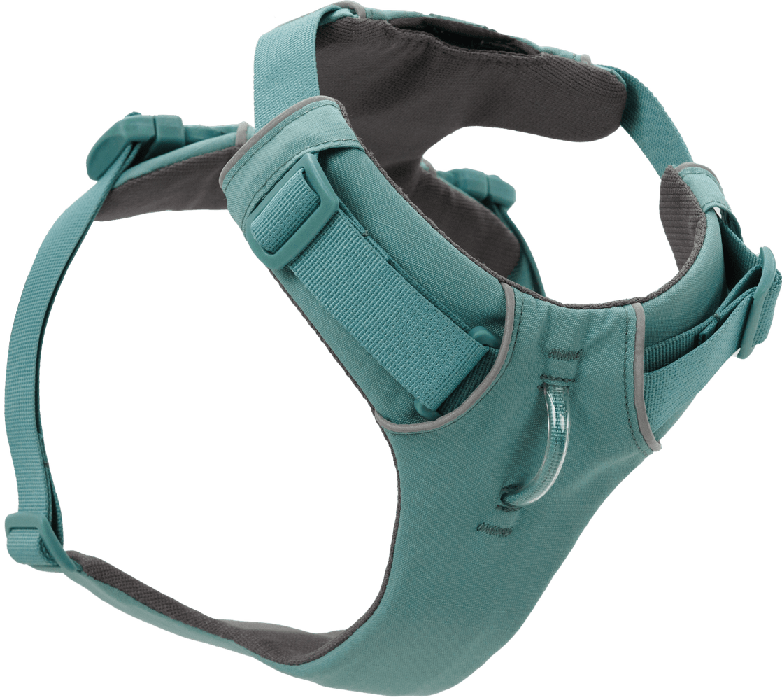 productImage: Front Range Harness RiverRock Green