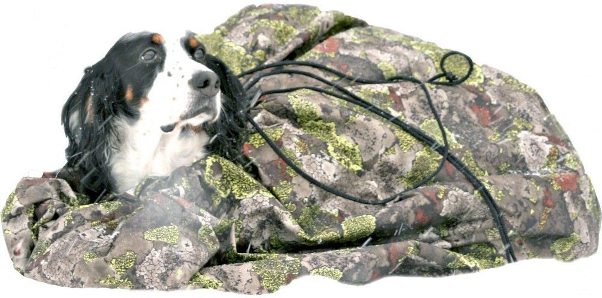 productImage: Thermo Fjäll Hund M
