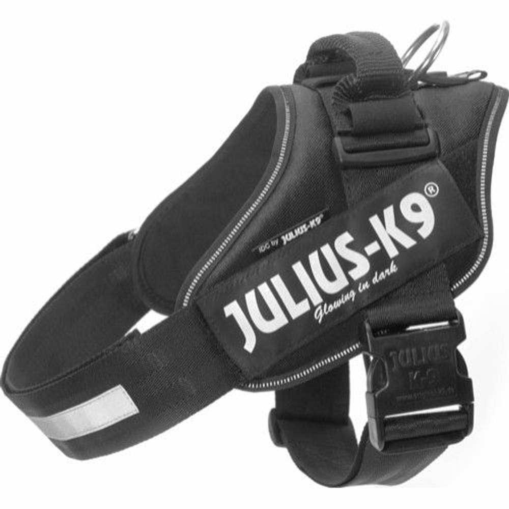 productImage: Julius-K9 IDC-Sele 1 (63-85 cm) Flera färger