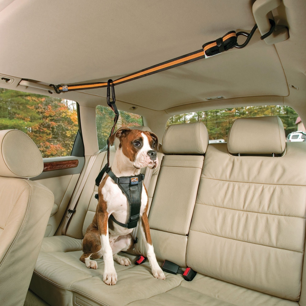 productImage: Auto Zip Line with Leash/Tether Black/Orange