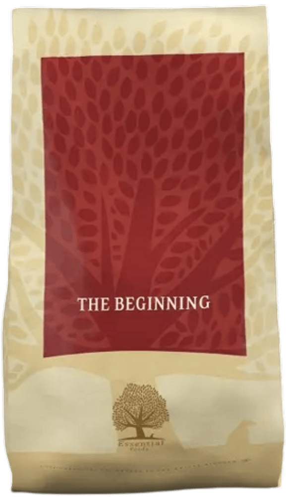 productImage: The Beginning 10 kg