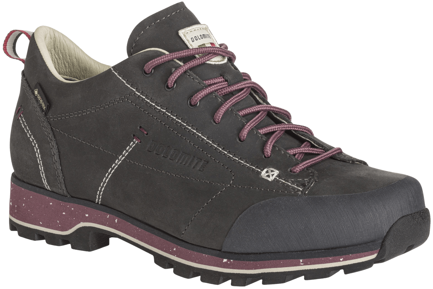 productImage: W's 54 Low Fg Evo GTX Anthracite Grey