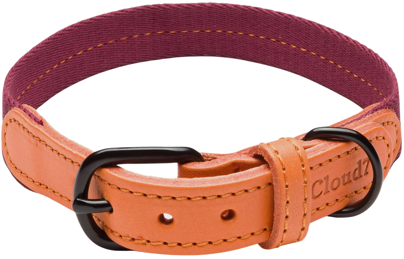 Dog Collar Madeira XS-M Papaya, view: 1